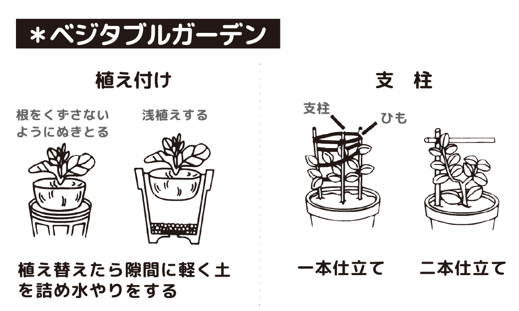 Amazon.co.jp: 香蘭社 花瓶 鶴の舞 緑 大 1141-NB7 : ホーム